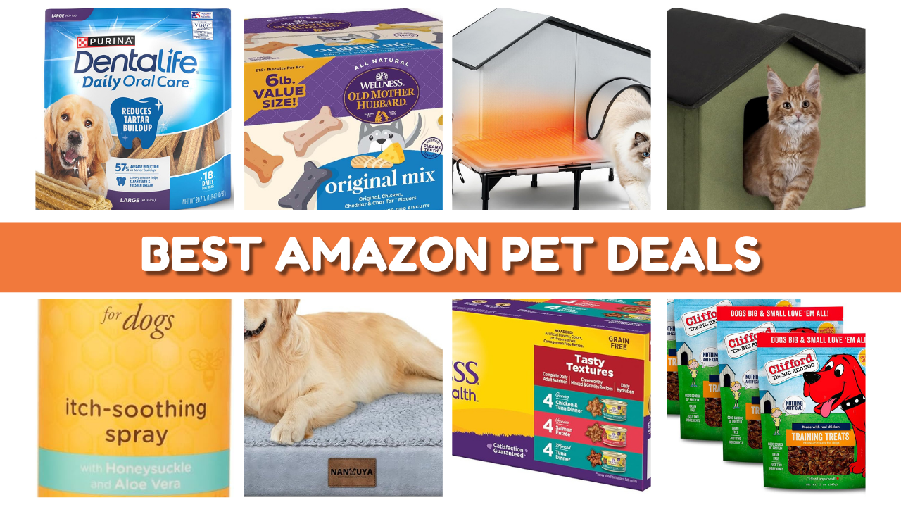 The Best Amazon Pet Supply Must-Haves You’ll Love