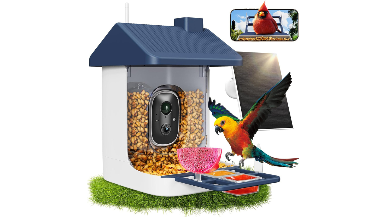 smart bird feeder with camera amazon coupon today deal, backyard bird feeder camera under discount, amazon daily deals for older women shoppers, Gorilla Daily Deals tech finds, amazon coupon code today bird feeder sale, amazon discount codes for home gadgets, impulse buying amazon smart home item, discounted bird watching gadget with HD camera, outdoor bird feeder camera for nature lovers, budget-friendly amazon coupon code deal, trending amazon camera bird feeder, women over 40 looking for relaxing home gadgets, amazon coupon today savings on smart feeder, limited-time amazon daily deals camera feeder.