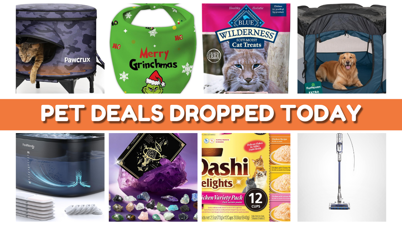Amazon Coupon Today: New Pet Deals Dropping Fast on Amazon